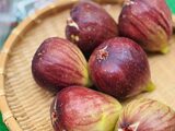 地元産『いちじく』並び始めました！