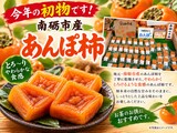今年初物が入荷しました！