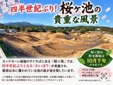 四半世紀ぶり！桜ヶ池の貴重な風景
